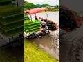 Kubota NW8S GS 田植機　田植え作業 #現代農業 #農家 #farming