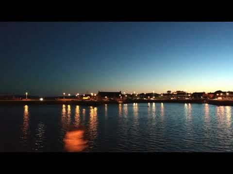 Bruce Springsteen - If I Should Fall Behind (lofi acoustic cover)