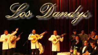 Video thumbnail of "Los Dandys - Desde del Cielo"