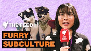 A day at Melbourne Furry Convention | SBS The Feed