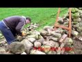 The Ancient Art of Dry-Stone Walling.  Ten Minutes With Tom