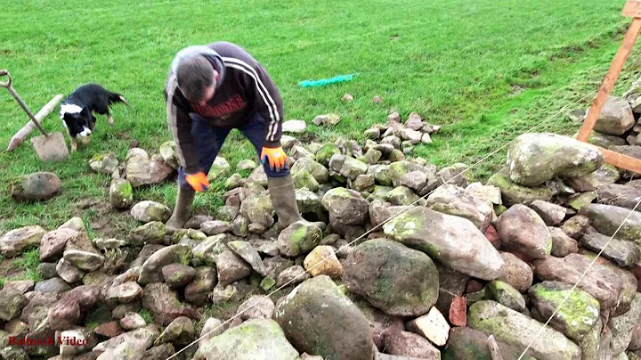 The Ancient Art of Dry-Stone Walling.  Ten Minutes...