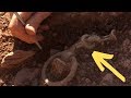 Man Uncovers Old Chain With Metal Detector, Has No Idea What’s On The Other End