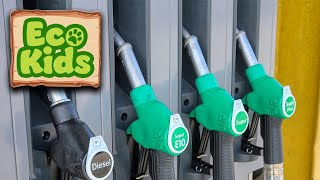 Positive Uses of Ethanol Fuel | Eco-Kids (17-Minute Documentary on Earth for Kids!) by Giggle Mug 41 views 5 days ago 12 minutes, 35 seconds