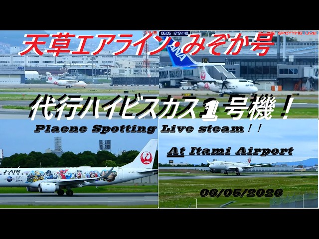 捕捉失敗！天草エアライン・みぞか号代行ハイビスカス1号機ライブ配信
