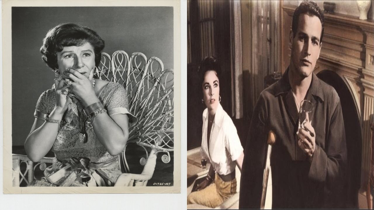 Cat on a Hot Tin Roof Movie - Cast Revails Controversial Facts That Will Leave You Speechless!