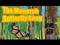 Monarch Butterfly Journey Quiz