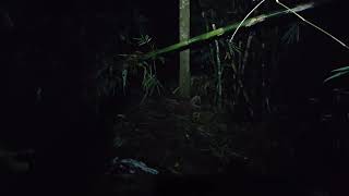 Download Lagu 🔴LIVE malam selasa MP3 Download Lagu 🔴LIVE malam selasa MP3