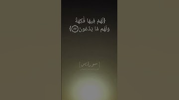 سورة يس الآية ٥٥ الى ٥٨ بصوت الشيخ هزاع البلوشي