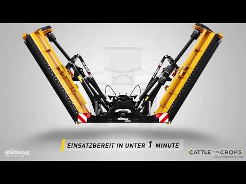 Anteprima video