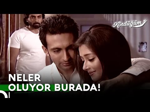 Vansh'ın PARANOYAK Dünyası