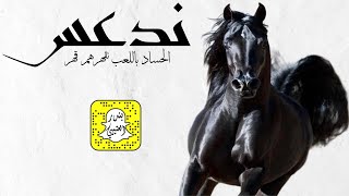 ندعس الحساد باللعب نقهرهم قهر اداء سعد محسن 2022 حصرياً