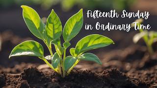 Fifteenth Sunday in Ordinary Time 7-12-26
