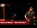 Flock of Dimes — Not Yet Free (Microshow at Cloudland Theater in Minneapolis)