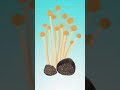 What is Truffle?