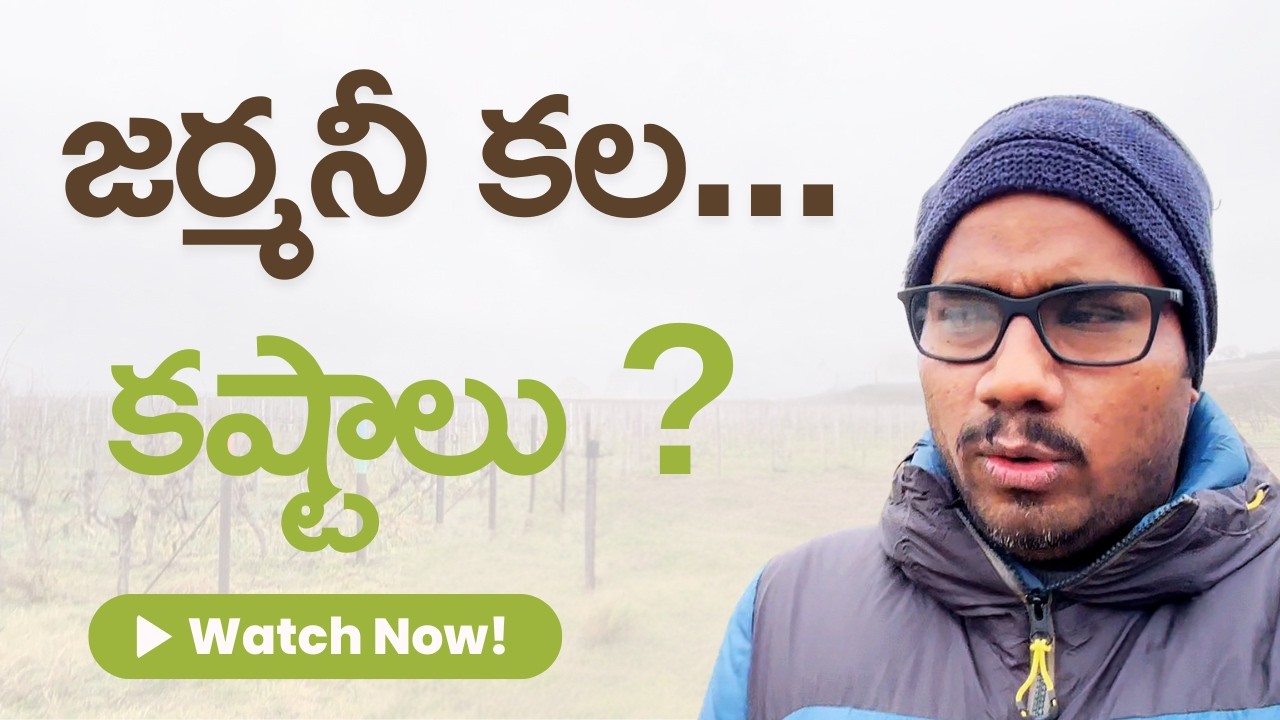 జర్మనీలో Indians నిజమైన కష్టాలు | కెరీర్, జీతం & పిల్లల భవిష్యత్