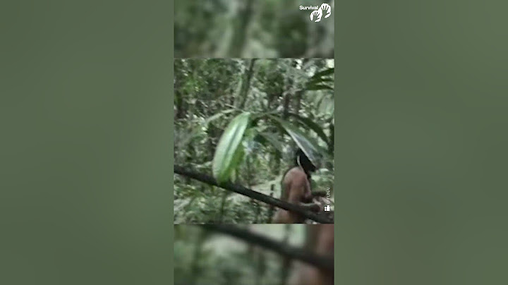 Indígenas isolados Kawahiva