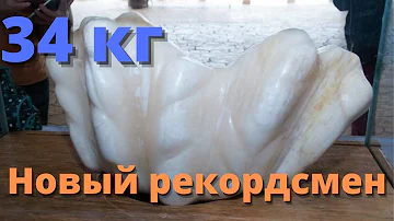 Жемчужина Аллаха — самая большая жемчужина в мире ИЛИ УЖЕ НЕТ?!