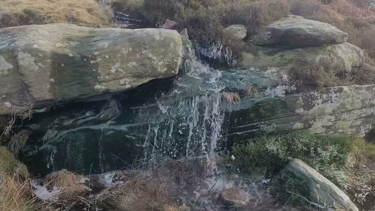 21 Day Conscious Creator Challenge – Becoming the authority of your life.