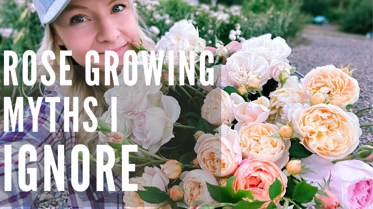 The {Farmer} & The Florist Interview: Zoë Field - Floret Flowers