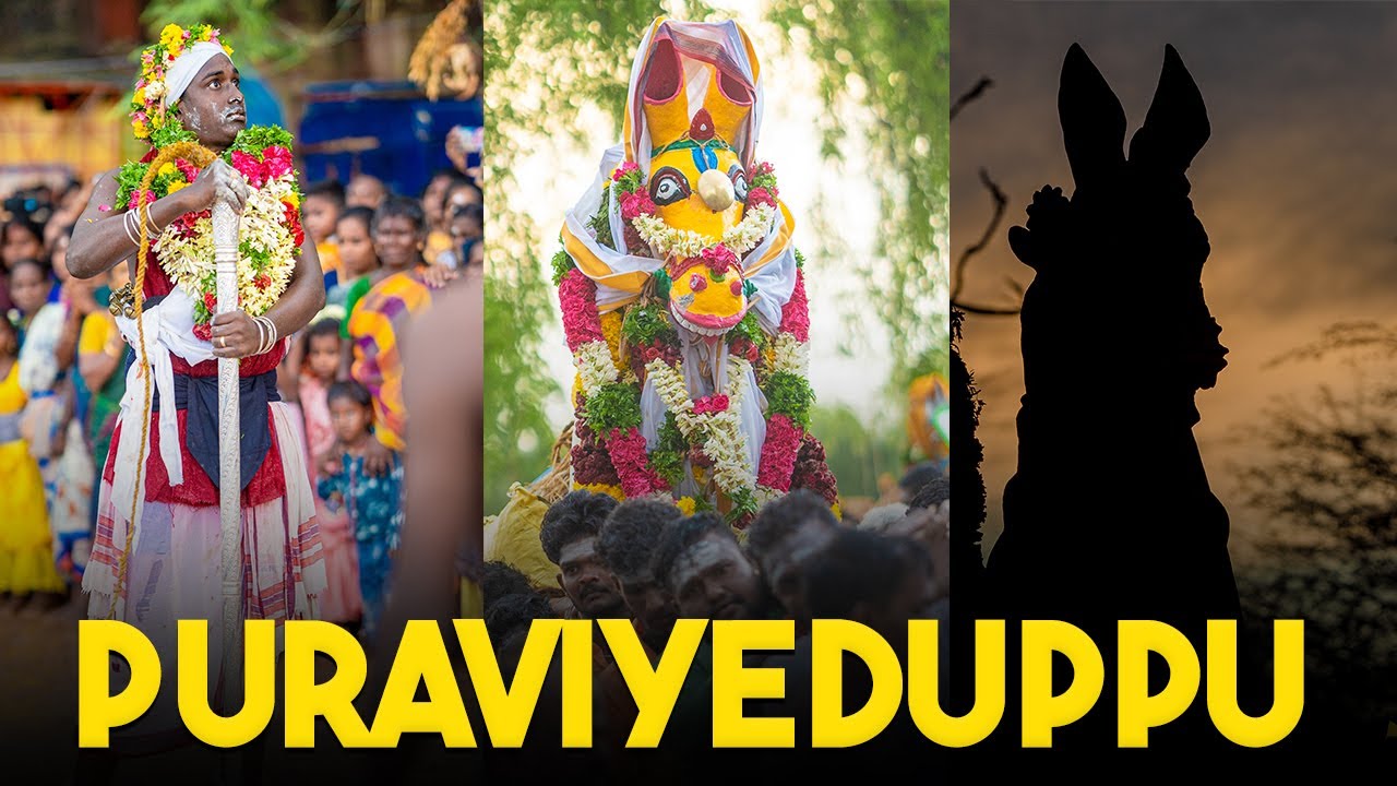 SS கோட்டை புரவி எடுப்பு திருவிழா 2023 | சிற்பிகலைகூடம்