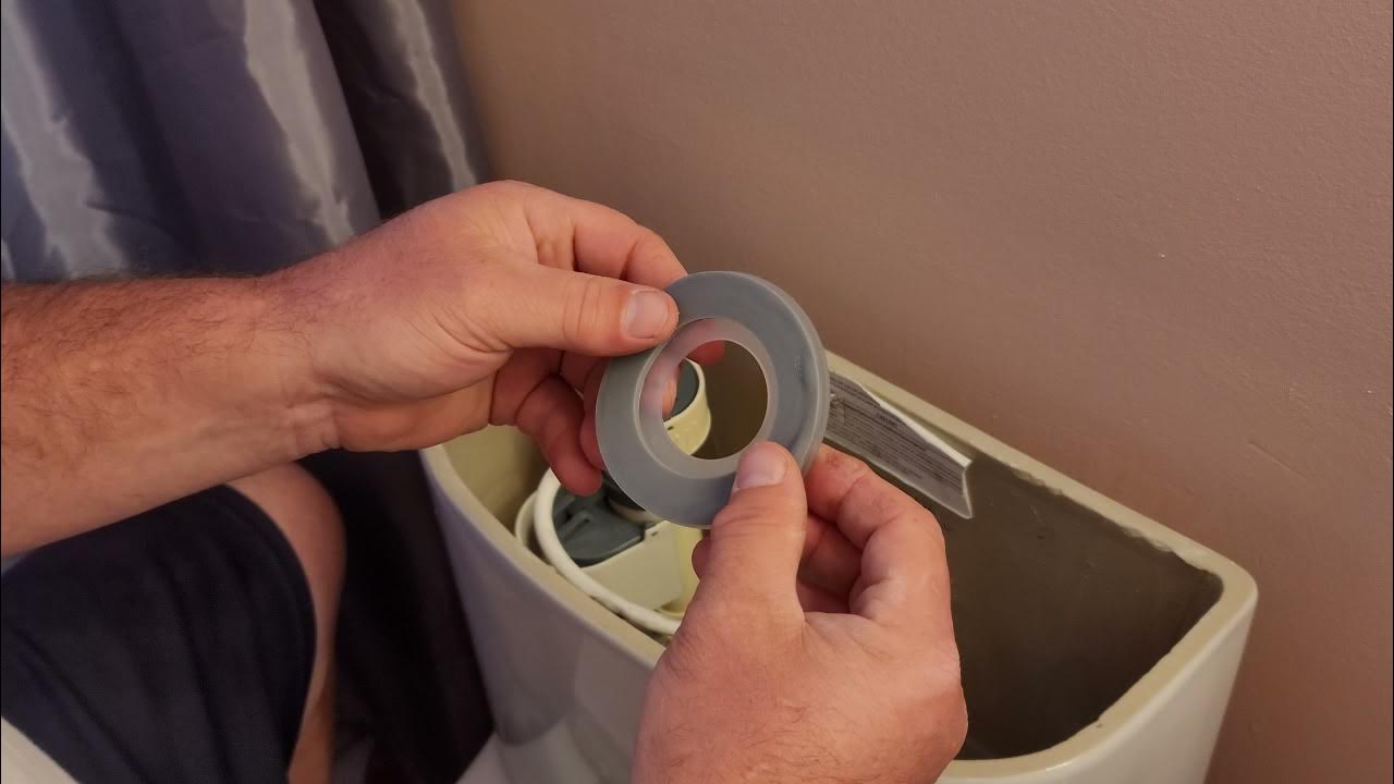 How to replace the seal in a Costco Water Ridge C22148C one piece