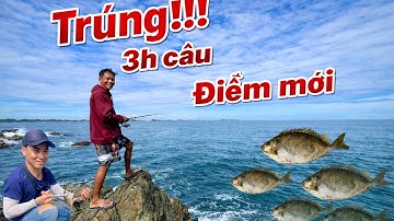 Trúng! 3H Câu - Điểm Mới Cá Biển Bén Liên Tay