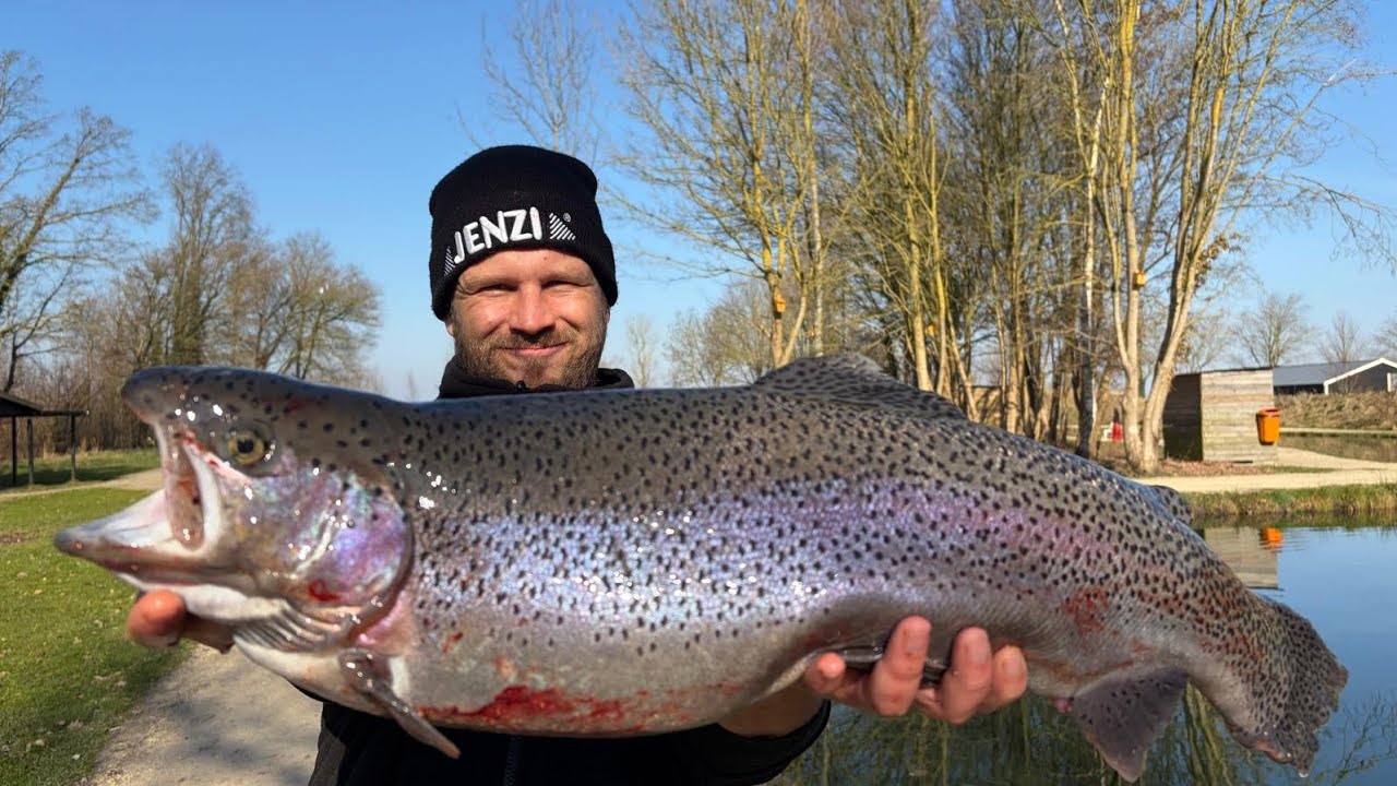 Monster Forelle bei DeKolk | Die Fische beißen wie am Schnürchen 🎣