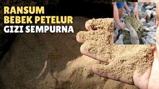 CARA MEMBUAT RANSUM PAKAN BEBEK PETELUR ALTERNATIF BERGIZI SEMPURNA