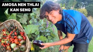 AMOSA NEN KAN NUFA IN THLAI KAN SENG || ZOPARI HNA LAM TLEM KAN ZAWT