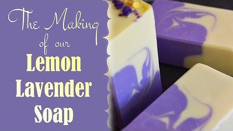 Making and Cutting Lemon Lavender Cold Process Soap Making