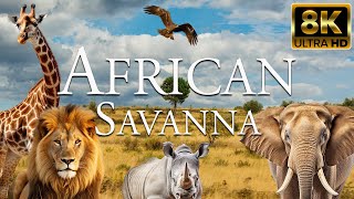Африканская саванна 8K ULTRA HD | Дикие животные африканского сафари | Релаксационный фильм