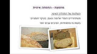 עולם המחמצות - הרצאה