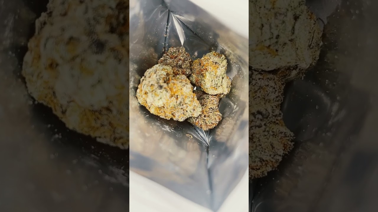 93 Boyz “Gary Payton OG” - Hybrid 