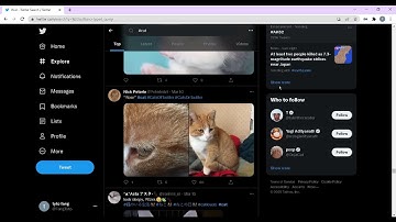 Twitter Bot - scrape Hashtag posts