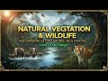 Natural Vegetation &amp; Wildlife | Most Important GS Topic for UPSC, SSC &amp; State PSC | 100% Exam Target