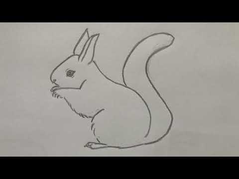 Cách vẽ con sóc đơn giản | Hướng dẫn vẽ con sóc bằng bút chì | How to draw squirrel