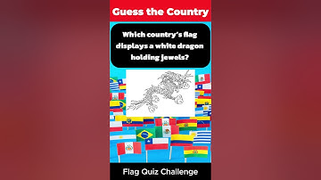 Can you guess the country in 5 seconds? Lets try😎 #guessthecountry  #countryflag  #quizshorts