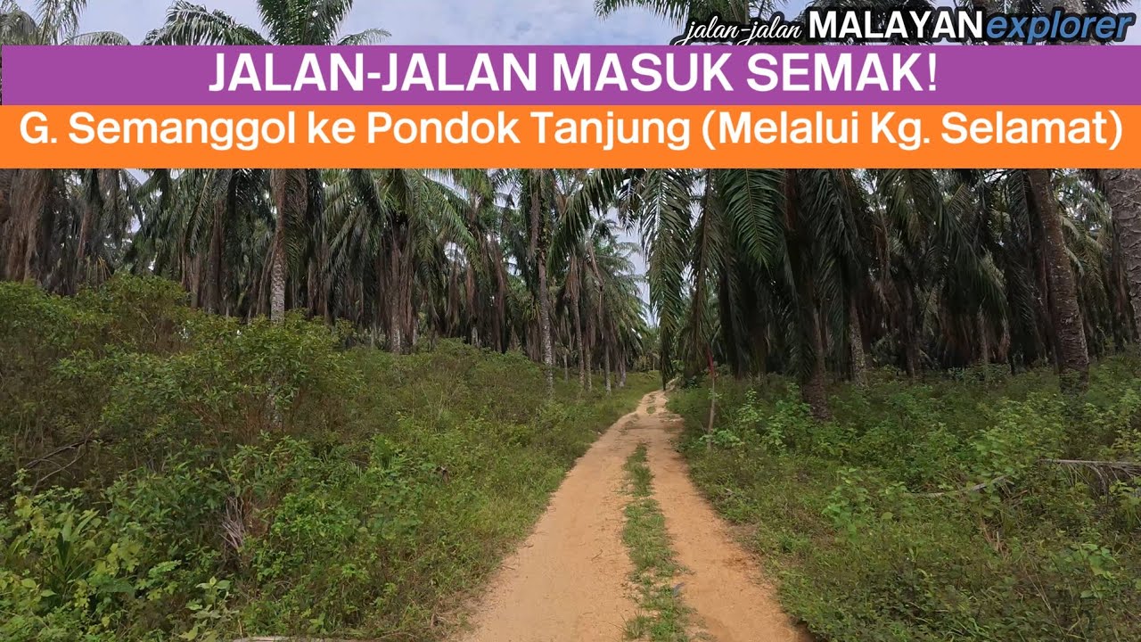 JALAN-JALAN MASUK SEMAK: G. Semanggol ke Pondok Tanjung (Melalui Kg. Selamat) OFFROAD