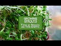 Types of Sprouts and Their Benefits
