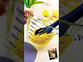 😱 Sirf ₹99 mein Kitchen ka sabse best gadget! 1000ml Glass Cup Review #craft #art #diy