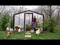 Building a New Greenhouse and Cooking Stuffed Onions