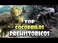 TOP 10: COCODRILOS PREHISTÓRICOS MÁS PELIGROSOS