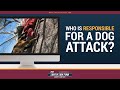 Who Is Responsible For A Dog Attack?