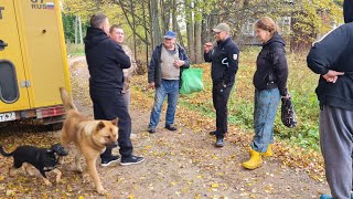 картинка: Добрые отношения, красивый туман и хлопотный день