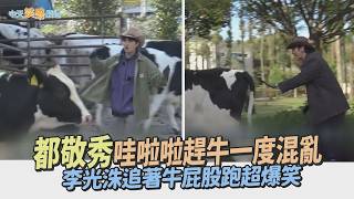 【夯韓綜】都敬秀哇啦啦趕牛一度混亂　李光洙追著牛屁股跑超爆笑｜豆豆農場