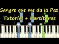 Descargar LA SANGRE QUE ME DA LA PAZ Piano Tutorial Cover Facil + Partitura PDF Sheet Music - Ariel Arnhold -Partituras Tutorial Cristiano Piano Descargar LA SANGRE QUE ME DA LA PAZ Piano Tutorial Cover Facil + Partitura PDF Sheet Music - Ariel Arnhold -Partituras Tutorial Cristiano Piano