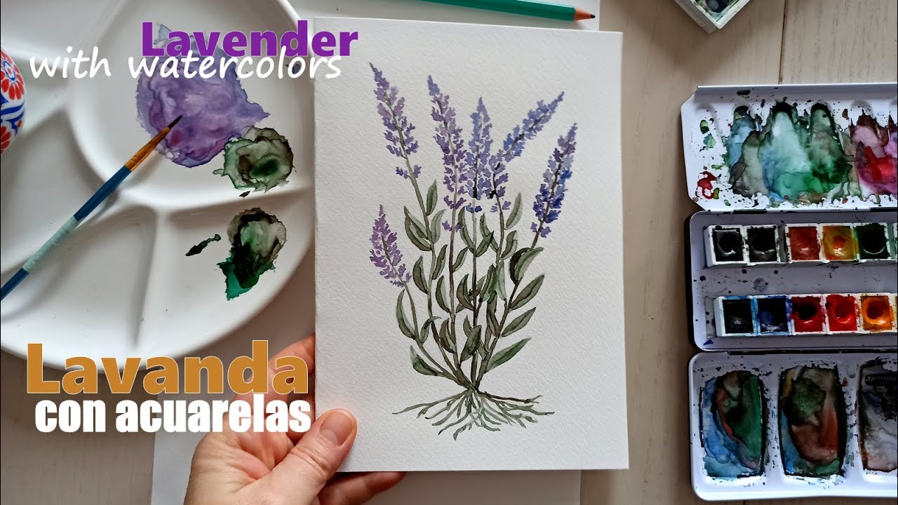 paint a lavender with watercolors / pintar una lavanda con acuarelas -  YouTube