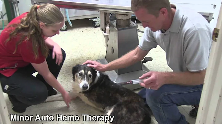 Live Ozone Therapy Demonstration