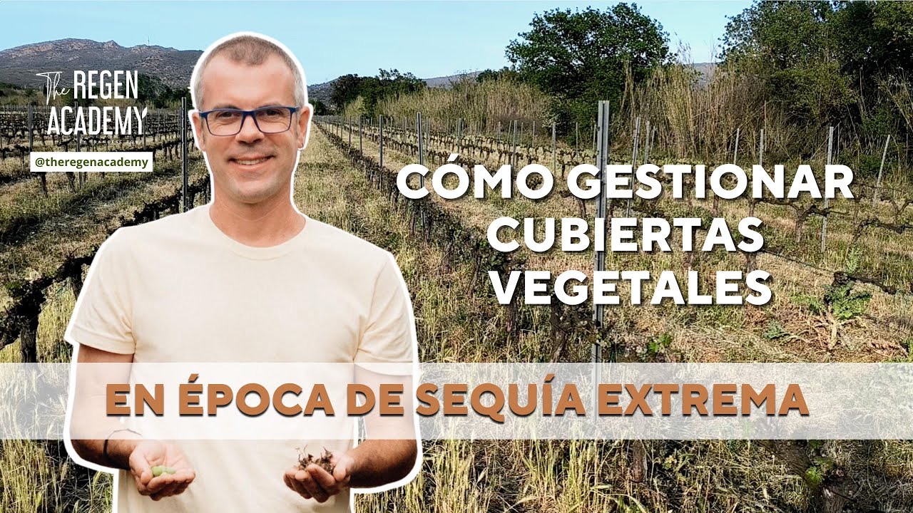Cómo gestionar cubiertas vegetales en época de sequía extrema